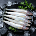 Frozen Large Sillago Fish